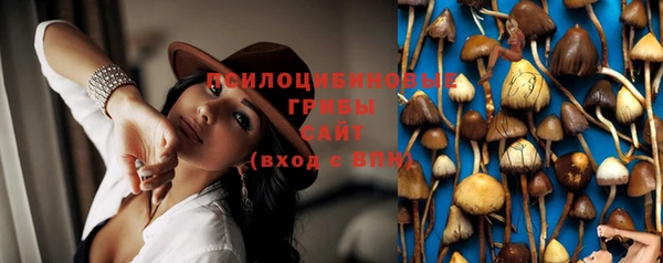 стаф Абдулино
