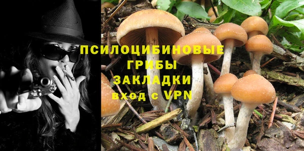таблы Алексеевка