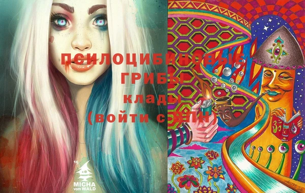 ПСИЛОЦИБИНОВЫЕ ГРИБЫ Алексин