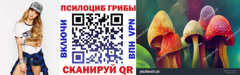 Галлюциногенные грибы Cubensis  Дятьково 