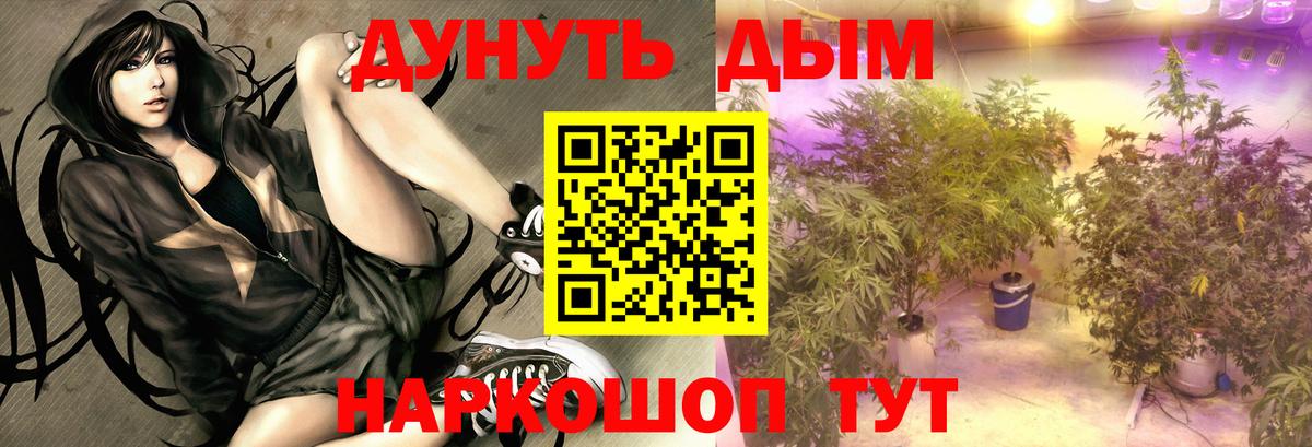 МАРИХУАНА семена  Вход с VPN  Дятьково  Бошки Шишки ГИДРОПОН 